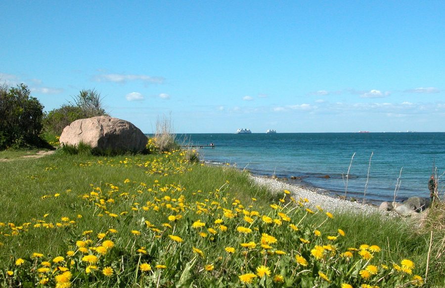Nordstrand von Fehmarn bei Marienleuchte mit Fährschiffen am Horizont