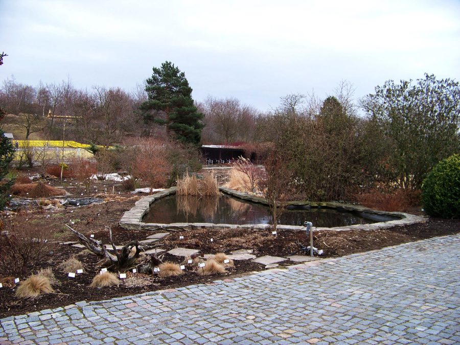 Teich im Botanischen Garten von Teplice