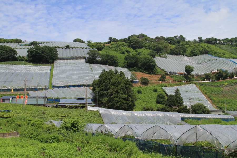 Ländliche Landschaft bei Akayu in Nan'yō, Präfektur Yamagata