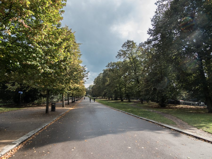 Baumallee im Victoria Park in Hackney, London