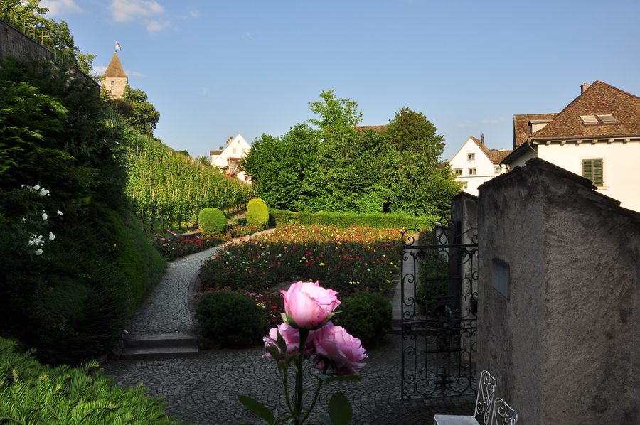 Rosengarten in Rapperswil