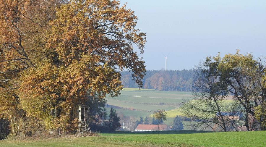 Herbstlandschaft im Ilmtal bei Jetzendorf
