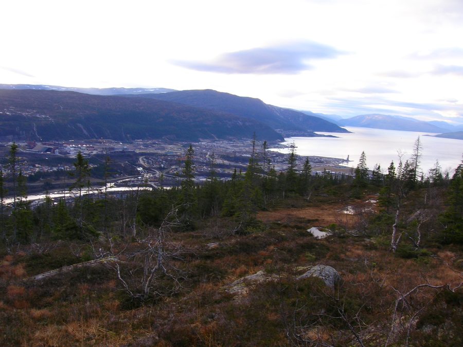 Mo i Rana und der Ranfjord, gesehen von Kvitbergan in Selfors