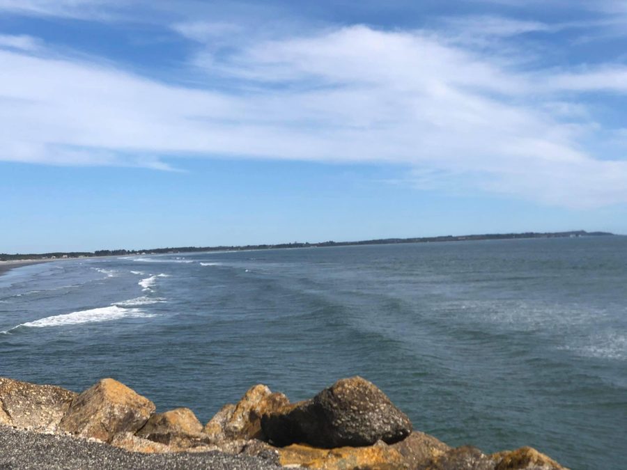 Buller Bay vom Steg am Carters Beach bei Westport