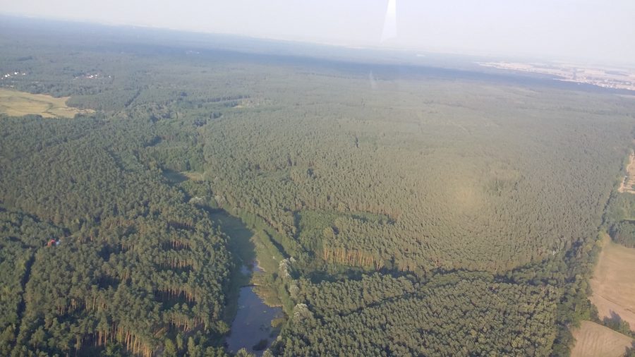 Aerial view of Puszcza Zielonka near Bolechówko