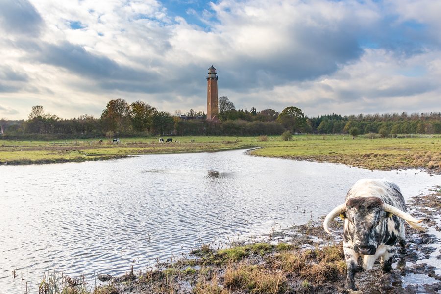 Leuchtturm Neuland an der Ostseeküste bei Behrensdorf