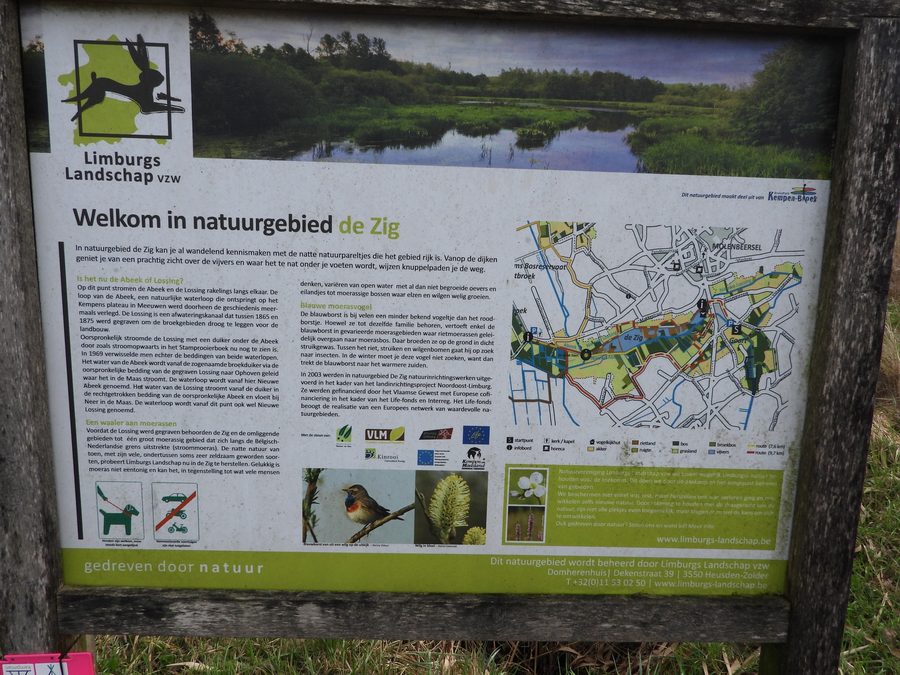 De Zig in Kinrooi, Landschaftsgebiet in Limburg