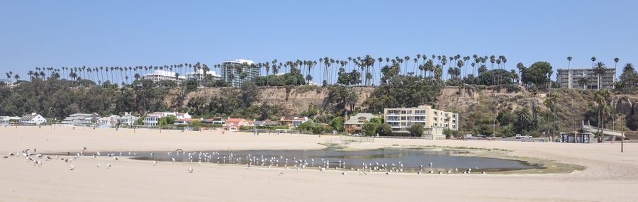 Santa Monica State Beach mit westlichen Möwen und Blick entlang der Pazifikküste