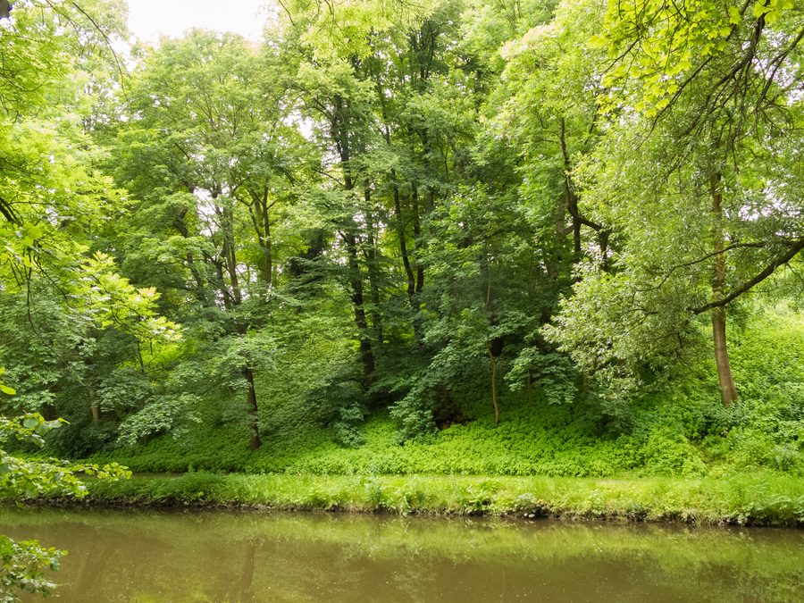 Die Oker am Kreißberg in Braunschweig, umgeben von grüner Landschaft