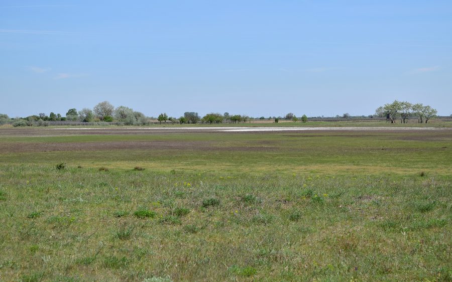 Albersee im Nationalpark Neusiedler See-Seewinkel mit offener Wiesenlandschaft