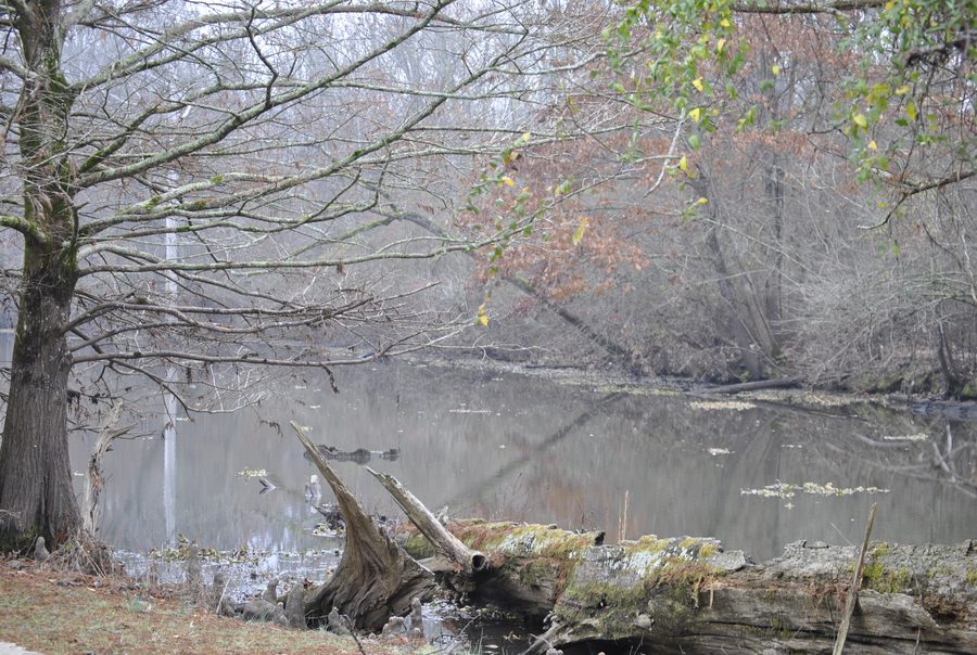 Moore Bayou in Arkansas County, Arkansas, near Gillett