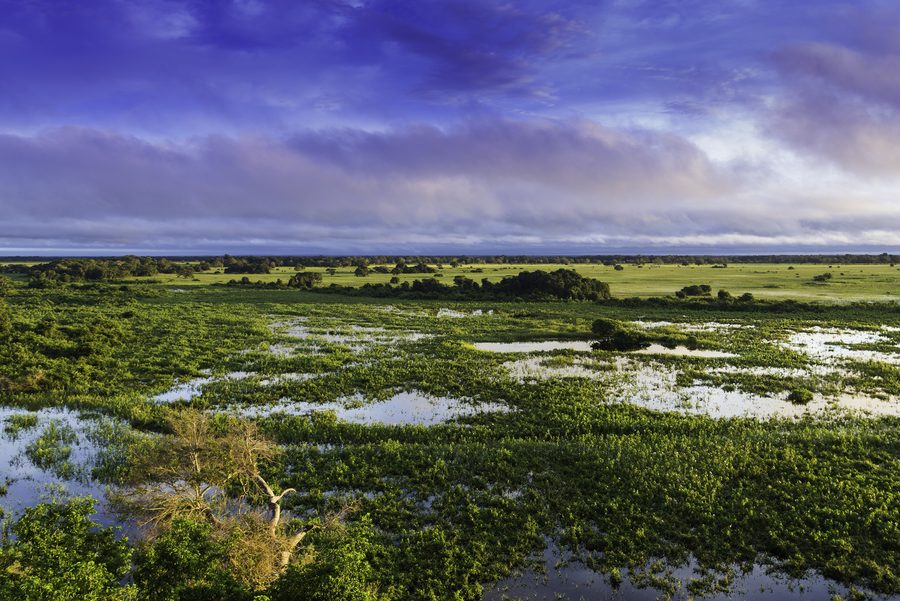 Luftaufnahme der Feuchtlandschaft des Pantanal in Mato Grosso, Brasilien