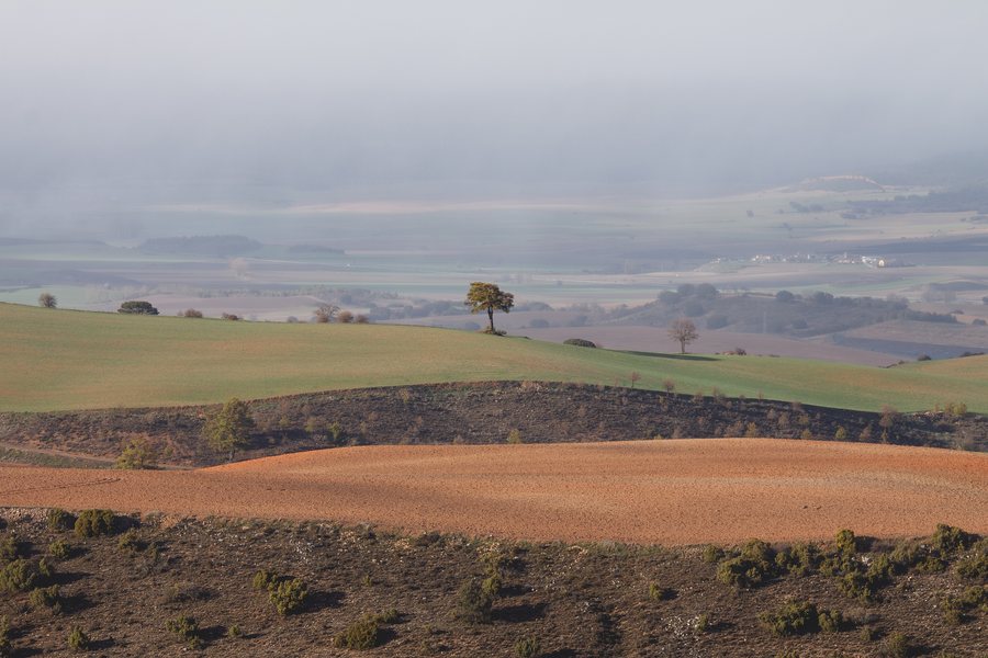 File:Arcas, Cuenca, Spain.jpg