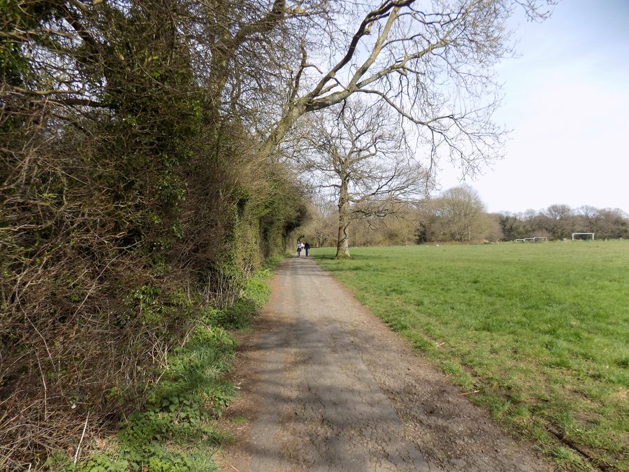 Landschaft des Coulsdon Common mit Wiesen und Gehölzen
