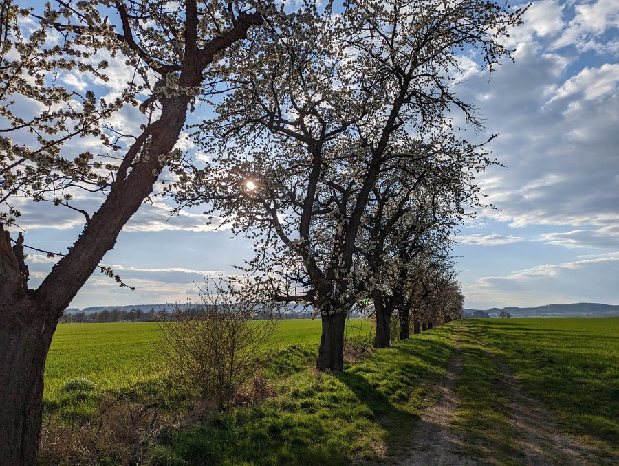 Frühlingslandschaft im Solling nahe Uslar