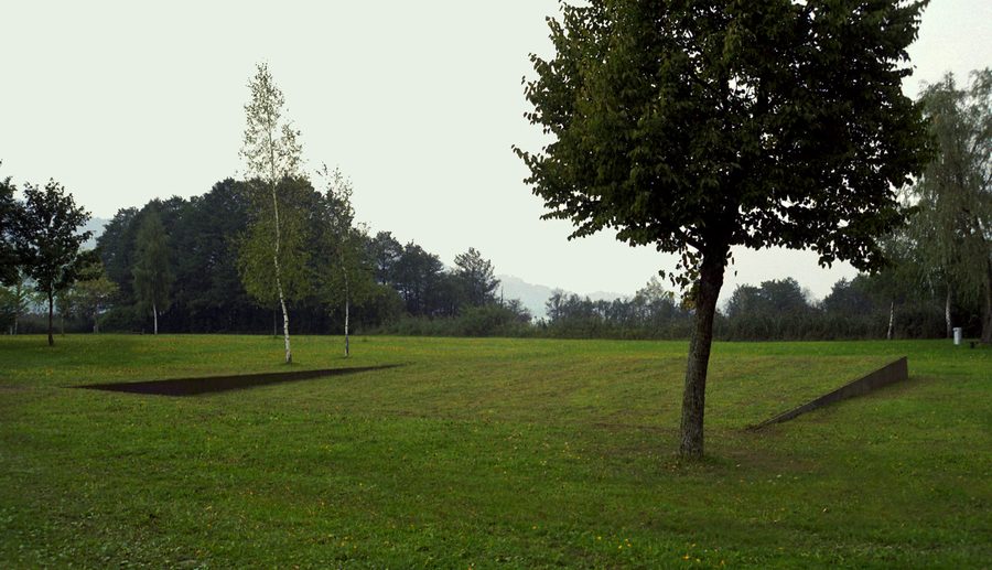 Landschaft im Naturschutzgebiet am Irrsee bei Zell am Moos