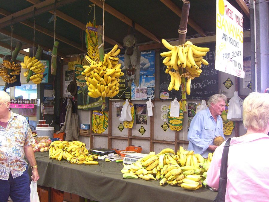 Bananen bei einem Markt in Carrara an der Gold Coast