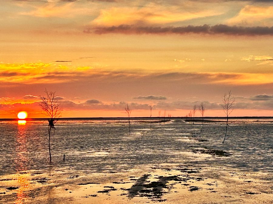 Sonnenuntergang über dem dänischen Wattenmeer