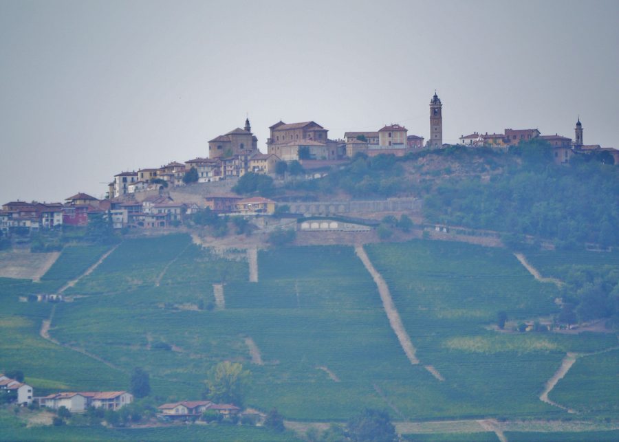 Hügellandschaft der Langhe zwischen Monforte d’Alba und La Morra in der Provinz Cuneo