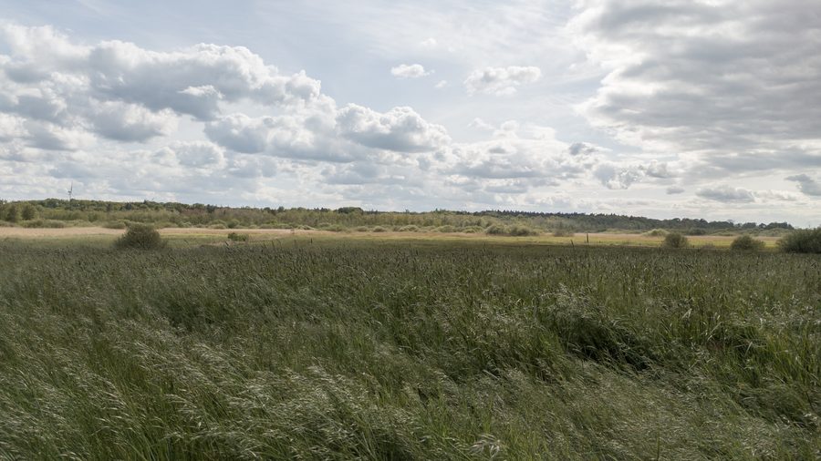 Landschaft im Recknitz- und Trebeltal bei Ahrenshagen-Daskow