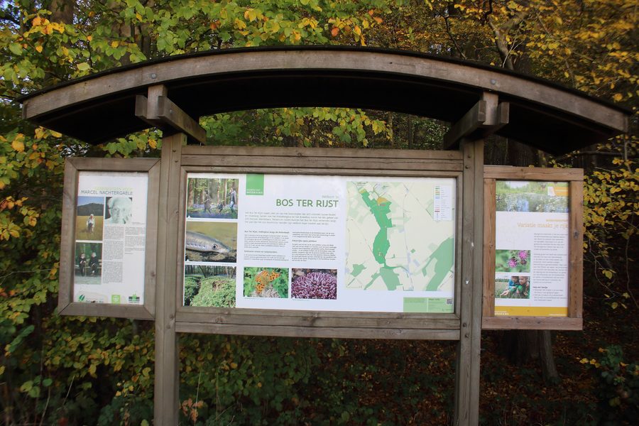 Waldlandschaft im Bos Ter Rijst bei Schorisse