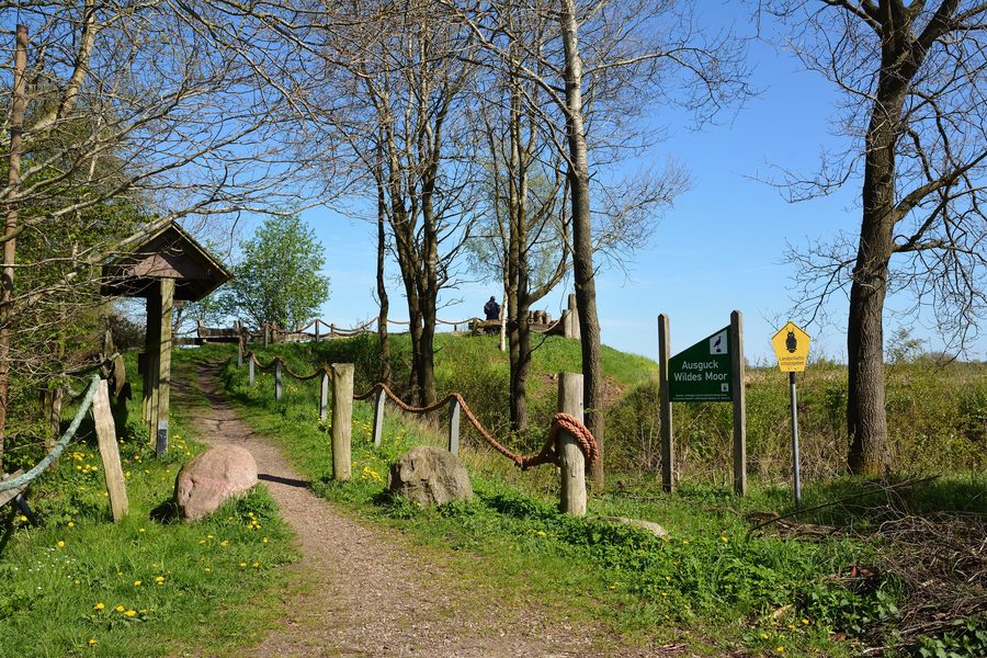 Landschaft im Wilden Moor in Schleswig-Holstein