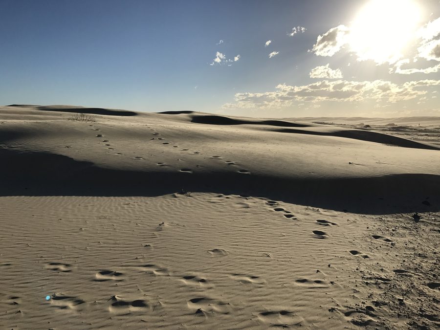 Sanddünen bei Anna Bay nahe Port Stephens in New South Wales