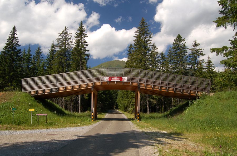Langlaufbrücke in der winterlichen Landschaft von Hohentauern