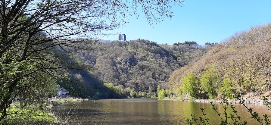 Blick auf die Saarschleife bei Mettlach mit bewaldeten Hängen