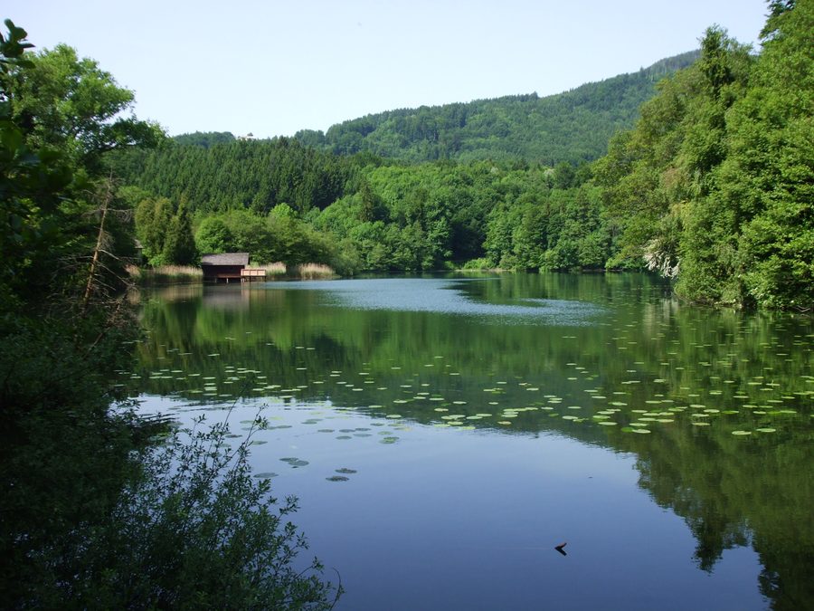 Höglwörther See bei Anger in Bayern