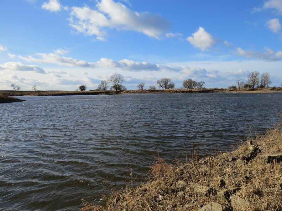 Die Elbe bei Prettin