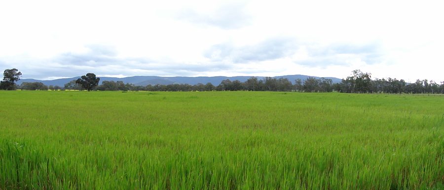 Blick auf die Pyrenees Ranges bei Avoca in Victoria