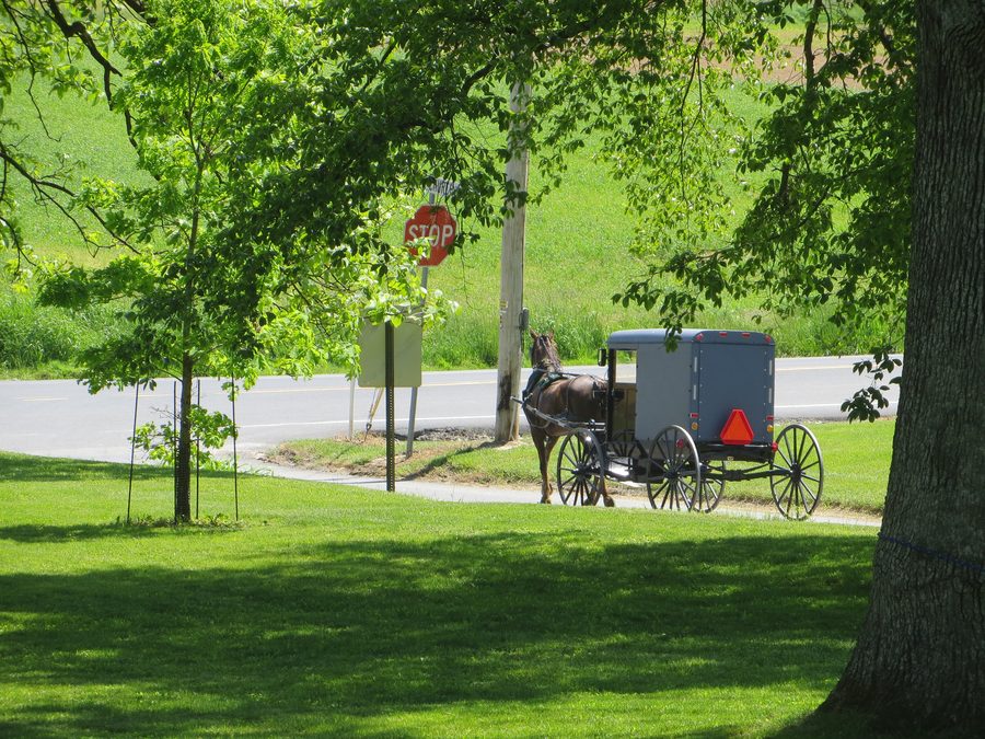 Amish buggy traveling in Lancaster County, Pennsylvania.