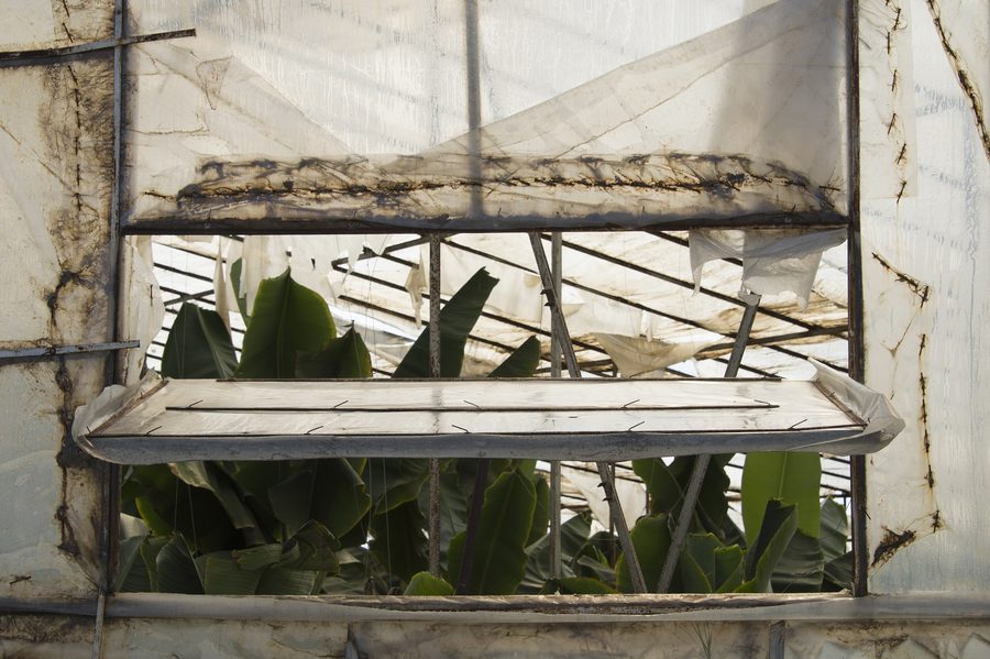 Bananenanbau in Gewächshäusern im Umland von Anamur