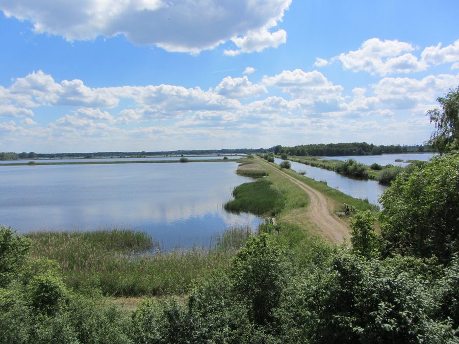 Blick auf die Teiche und die Müritz-Elde-Wasserstraße in der Lewitz bei Neustadt-Glewe