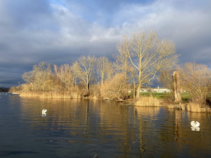 Greifensee im Kanton Zürich