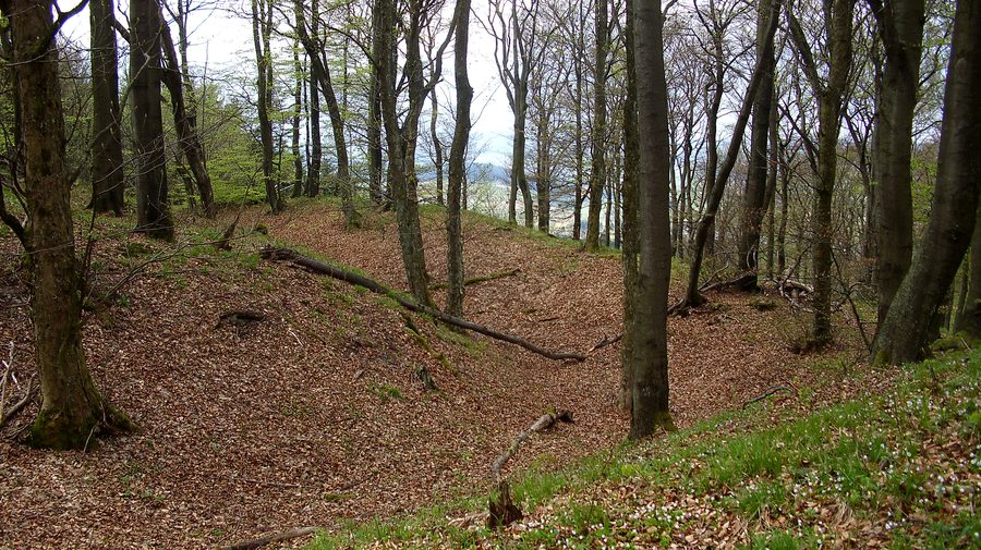 Wallanlage auf dem Schlossberg bei Küstelberg