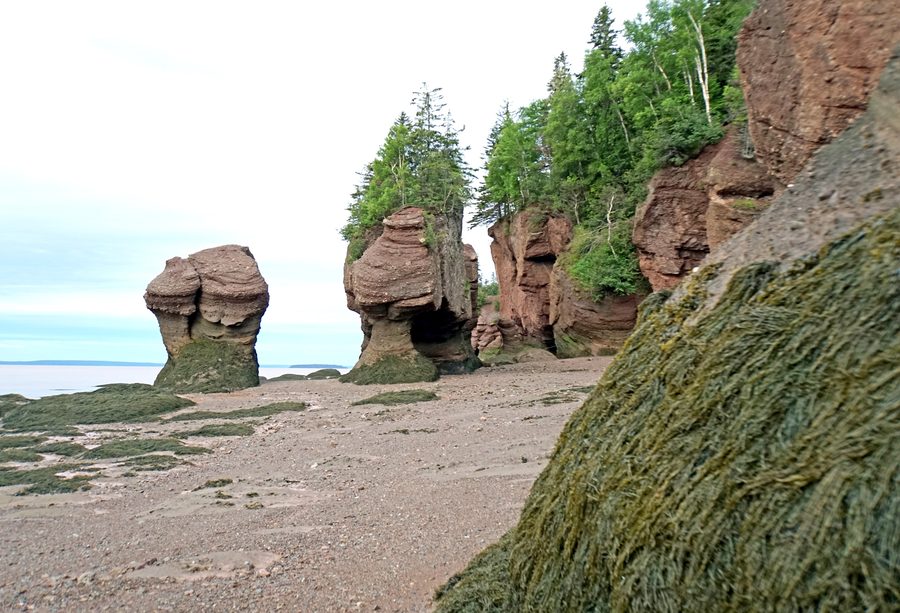 Hopewell Rocks bei Ebbe an der Bay of Fundy