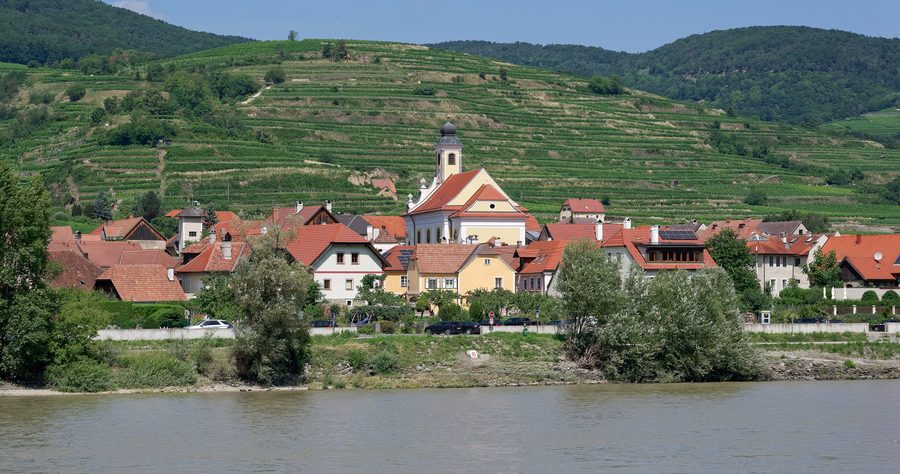 Blick vom Donauufer auf Wösendorf in der Wachau mit Pfarrkirche und Weinbergen im Hintergrund