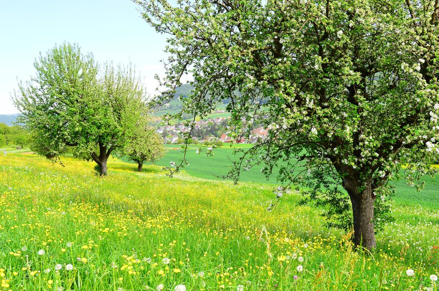Fricktal im Frühling mit ländlicher Landschaft