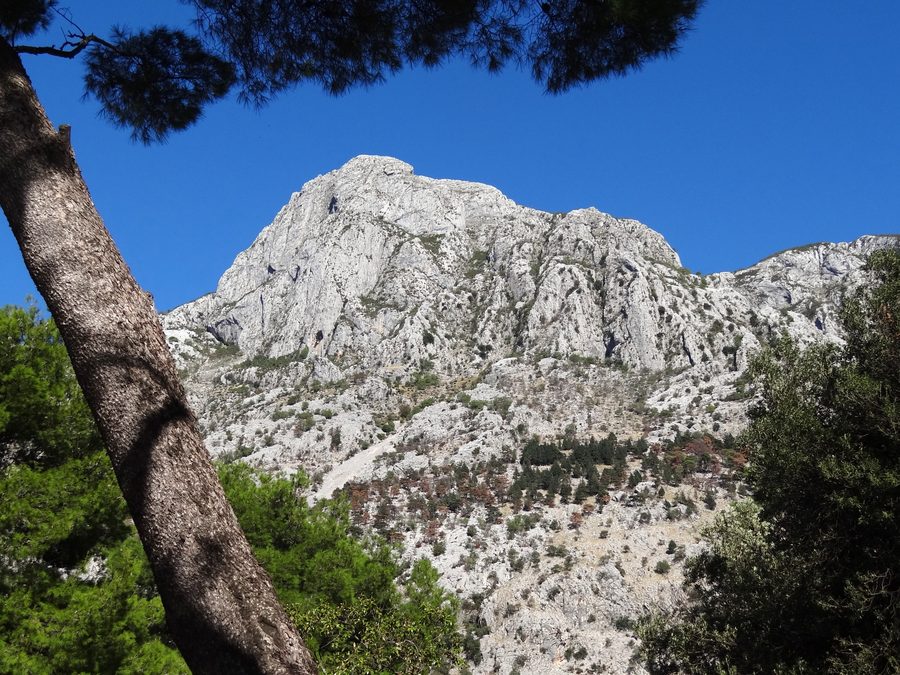 Blick auf die Berge im Raum Kotor in Montenegro