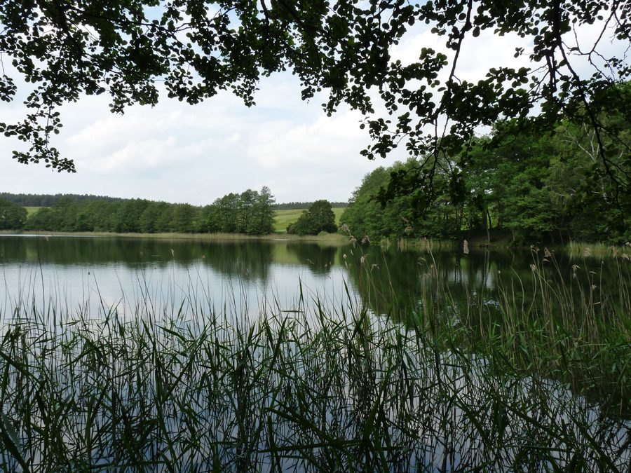 Glammsee in der Nähe des Dorfes Witzin in Mecklenburg-Vorpommern