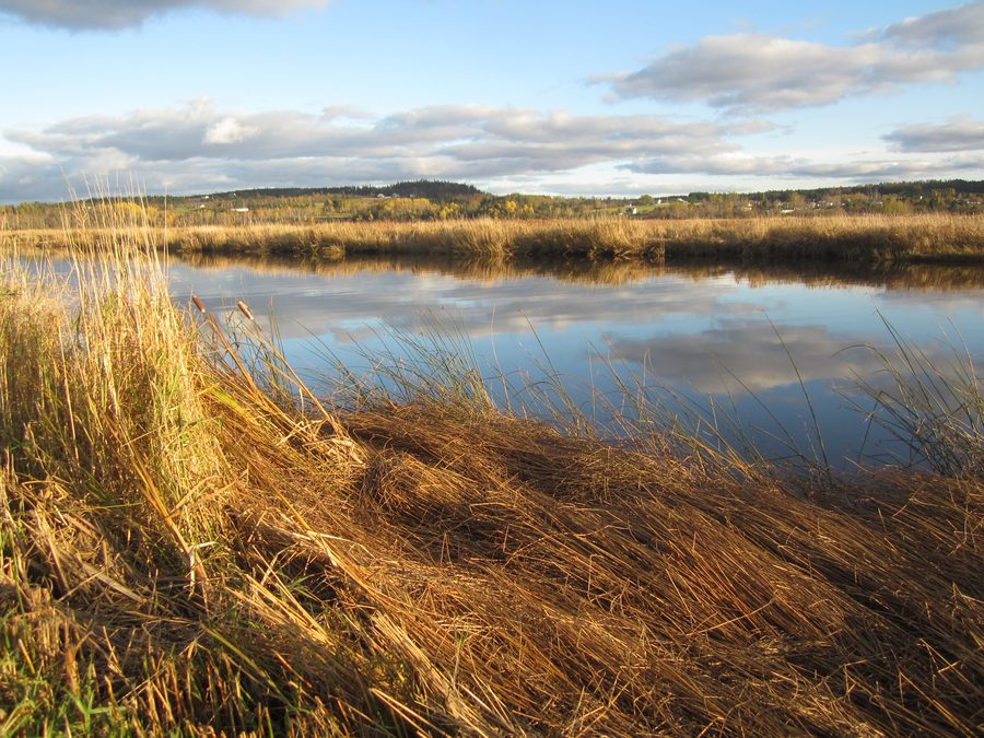 Antigonich Landing im Herbst mit Flusslandschaft und Uferweg