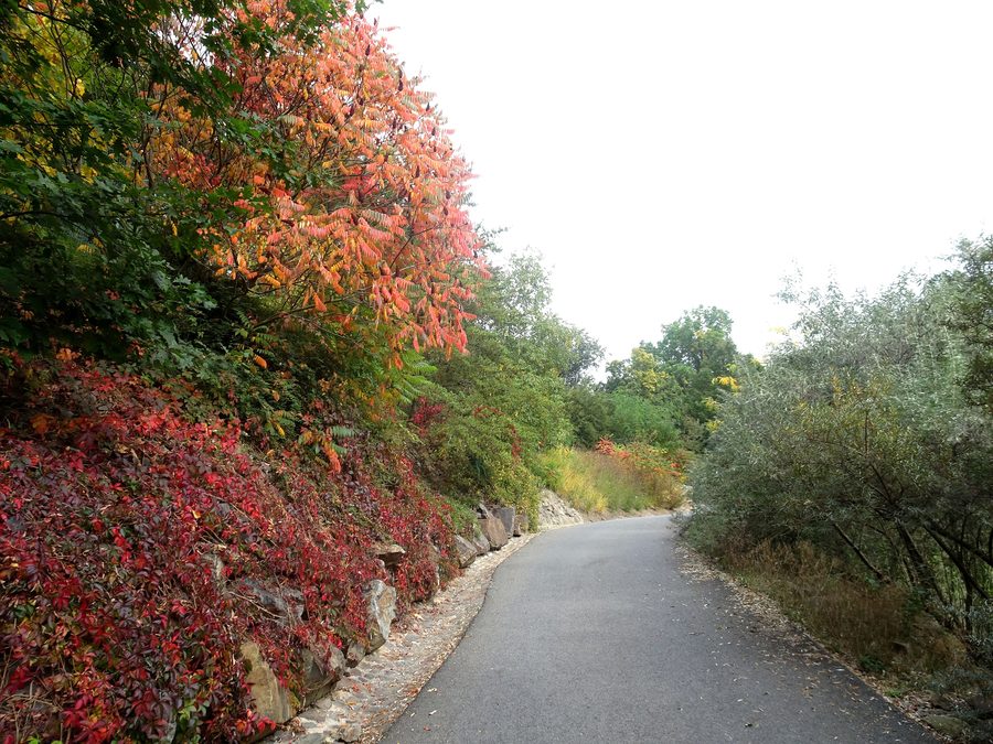 Weg auf dem Gelände des Zoos Plzeň