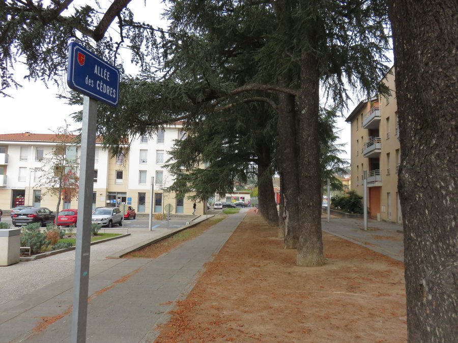 File:Brignais - Allée des Cèdres.jpg