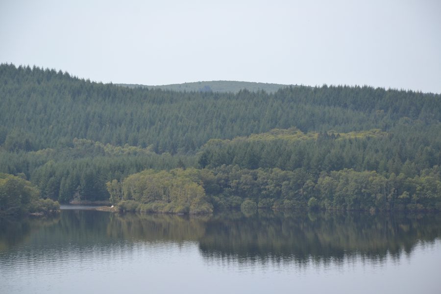 Blick auf den bewaldeten Bois de Crozat am Lac de Vassivière im Limousin