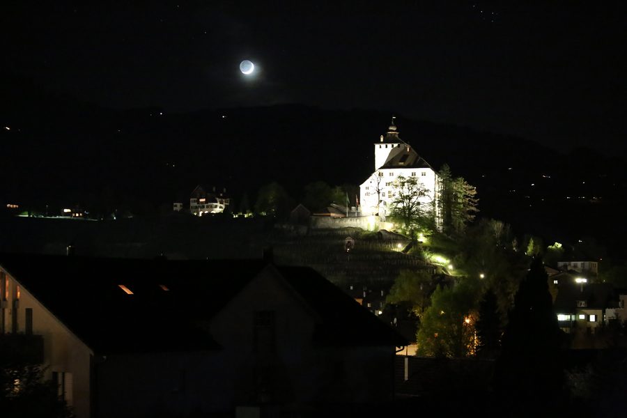 Schloss Werdenberg von Südosten.