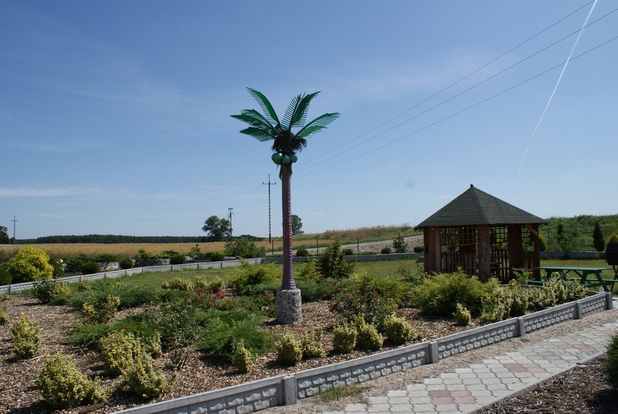 File:Solec powiat średzki okolice.JPG