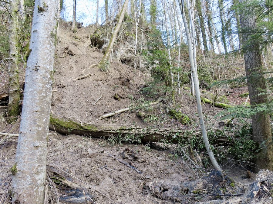 Rutschhang im Küsnachter Tobel unterhalb der Drachenhöhle