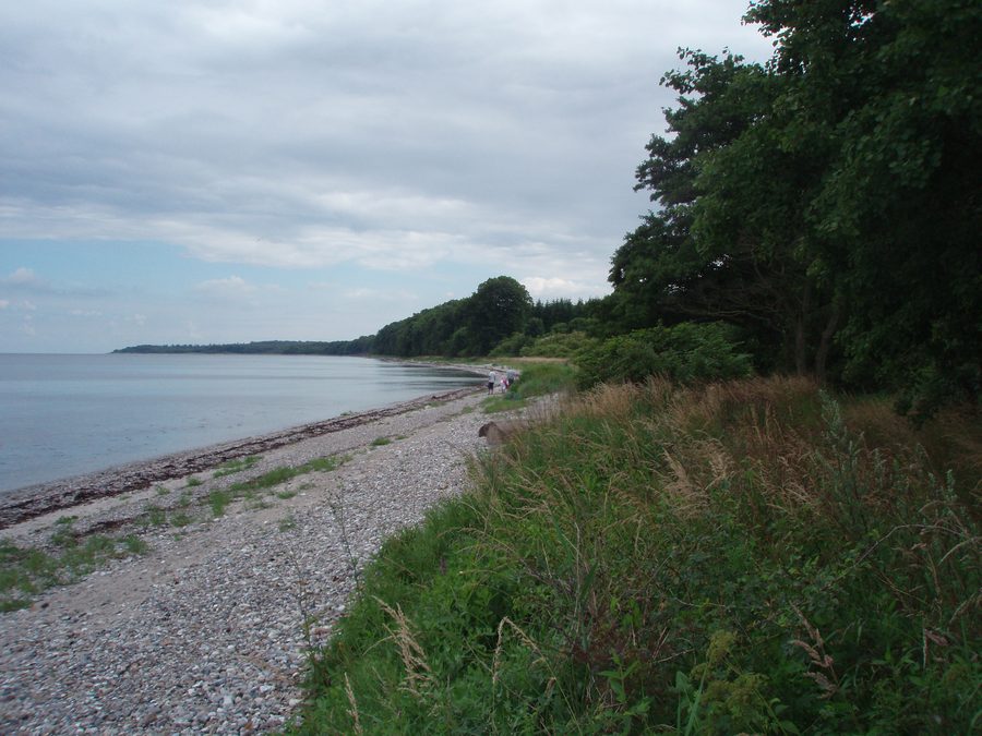 Nørreskoven on the island of Als in Denmark, viewed toward the Small Belt